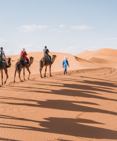 81234b5dea819758bc3031d5e632aacb